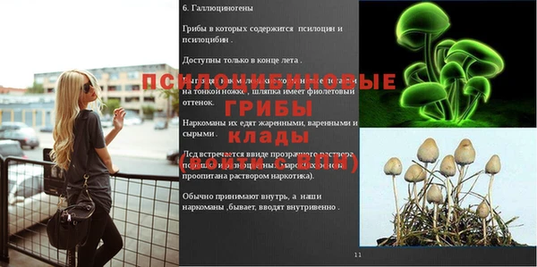 mdpv Заволжск