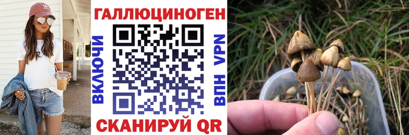 MEGA зеркало  Саянск  Галлюциногенные грибы Psilocybe  наркошоп 