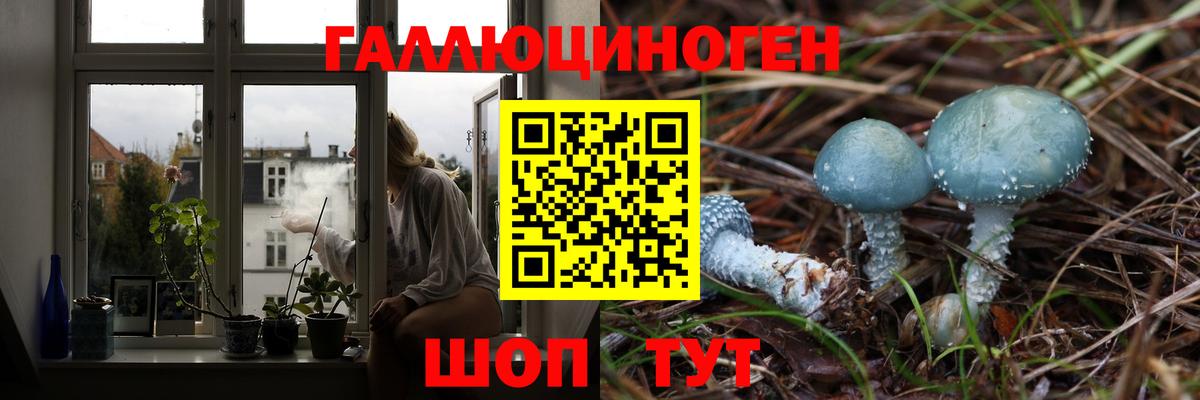 Галлюциногенные грибы Magic Shrooms Саянск